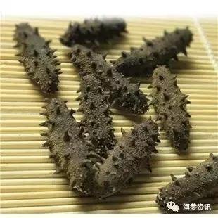 常吃海参的朋友给你几个忠告,经常吃海参的人还有得癌症的吗