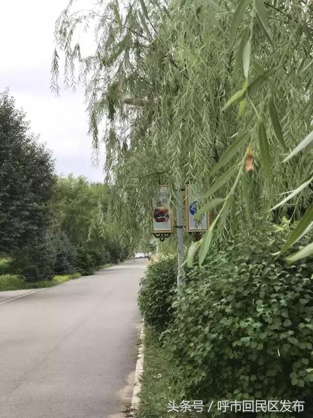新钢街道公园,呼和浩特市新钢公园