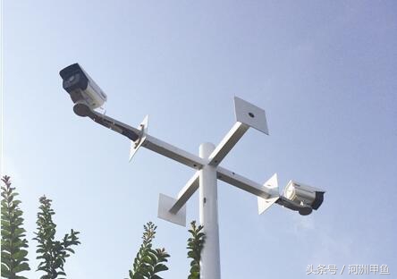 鼎故与革新：河洲龟鳖专业合作社1.0版到3.0版的升级之路