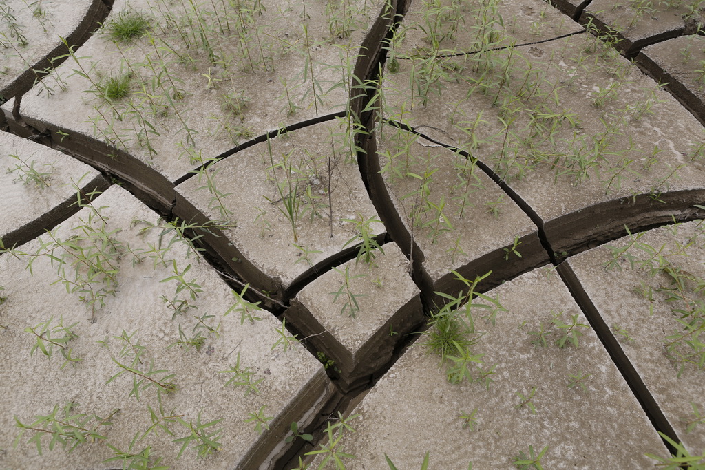 大武汉系列之武汉冶炼厂,大武汉系列之武汉印染厂