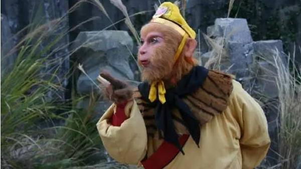 十二生肖猴的最佳婚配属相是哪个,92年属猴男和92年属猴女婚配如何