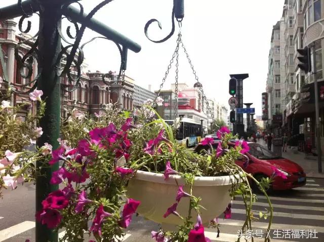 今天哈尔滨哪里免门票,2019哈尔滨免费优惠活动