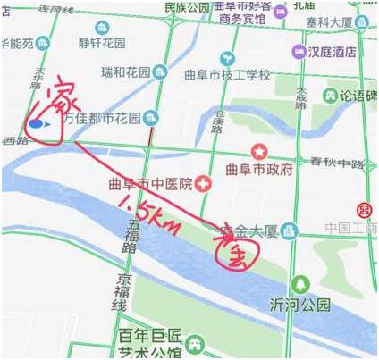 猫咪在15楼走丢怎么找回,家里猫咪走丢主人正焦急寻找