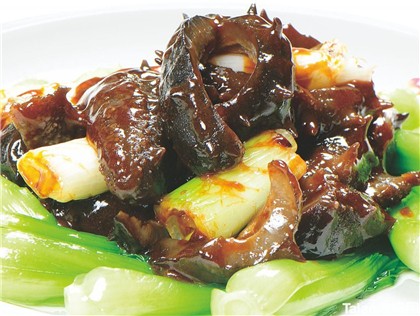 秋季最养生的海参做法,海参的20种家常做法收藏