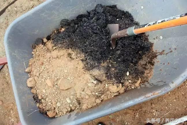 花土通用营养土怎么使用,花盆中的营养土是如何配制的