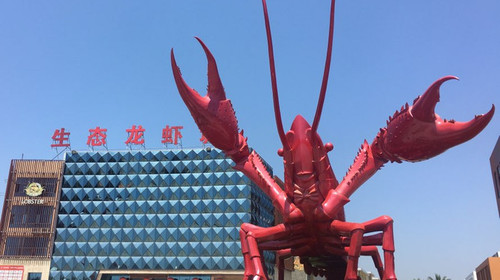 潜江五七小李子油焖大虾总店,湖北人的油焖大虾