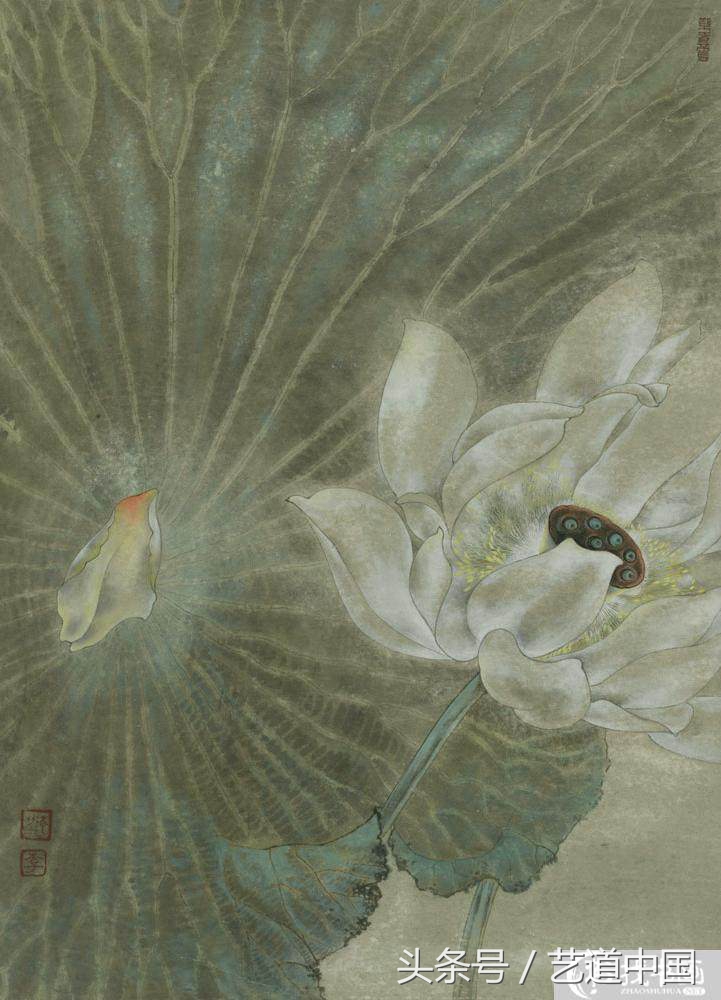 非学院派画师,画师画的荷花有多美