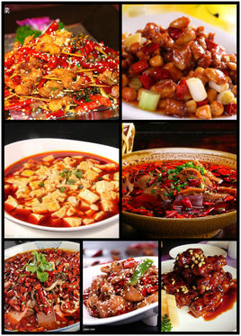 中国的八大菜系你最喜欢什么菜呢,中国十道最好吃的菜