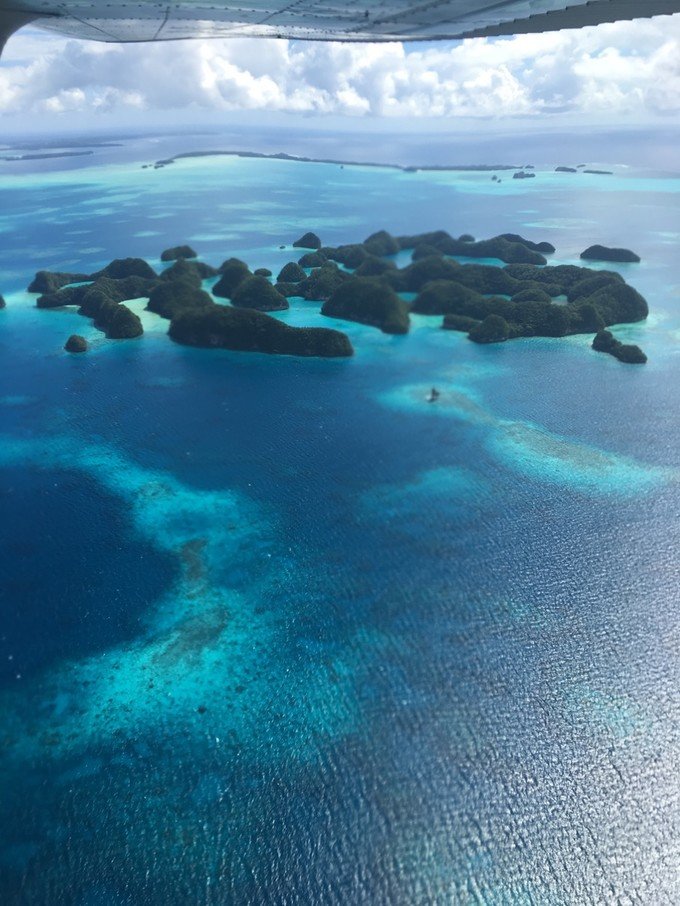 一起去帕劳旅游,去帕劳旅游自由行攻略