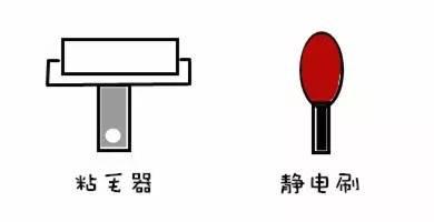 剃除毛发,白猫剃毛