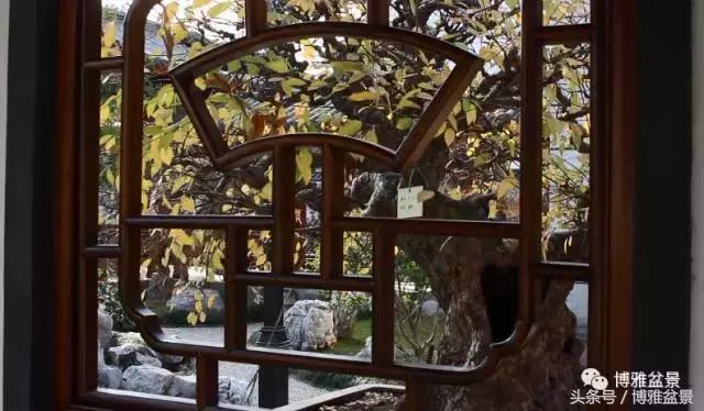 清逸园，一座闹中取静的“文人园林”