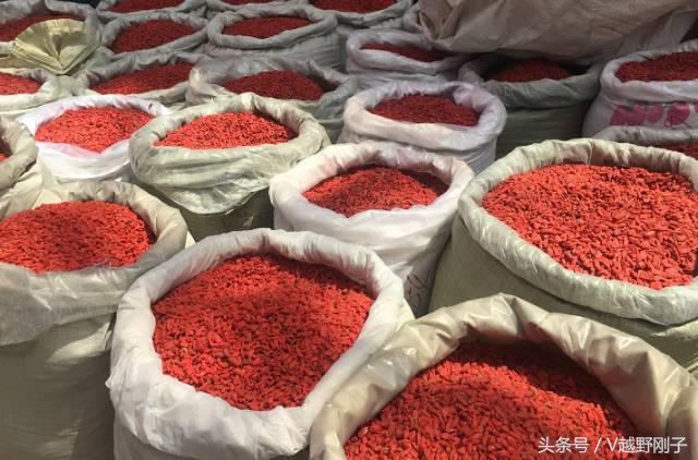 「影射华夏上」天下黄河富宁夏，初体验！