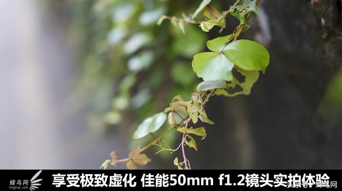 佳能50mm定焦镜头1.2样张,佳能50mmf1.4