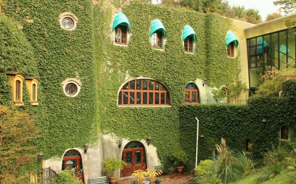 跟兔达人走世界——东京，追寻龙猫的足迹