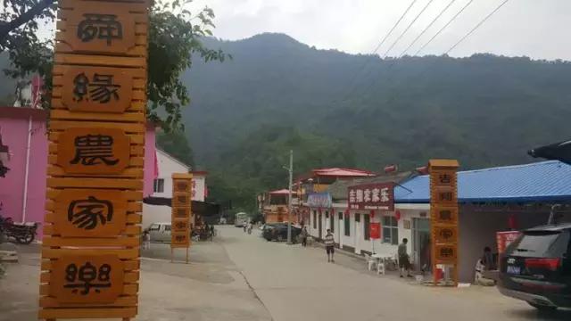 山西历山舜王坪大草原攻略,看云海高山草甸的地方