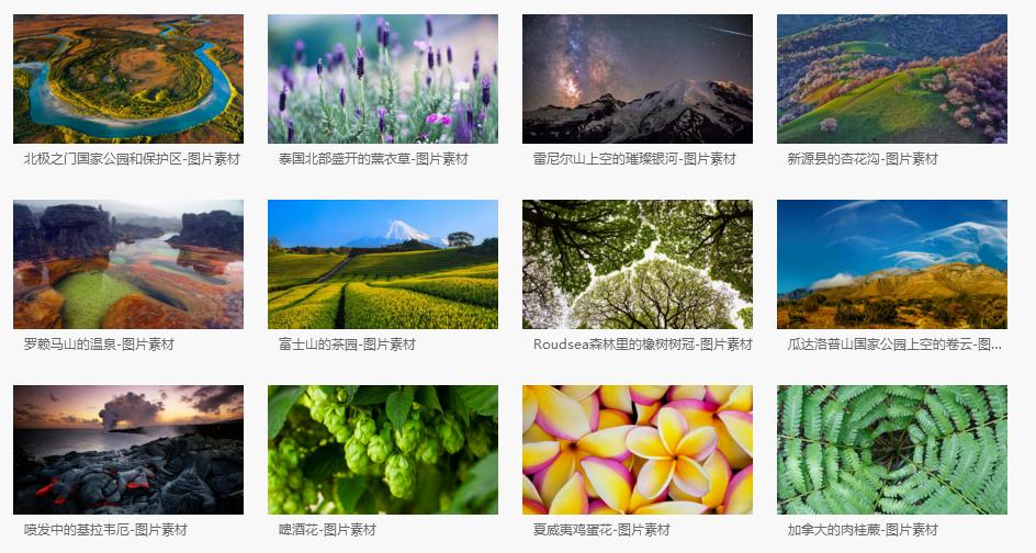 免费office模板,office模板下载网站