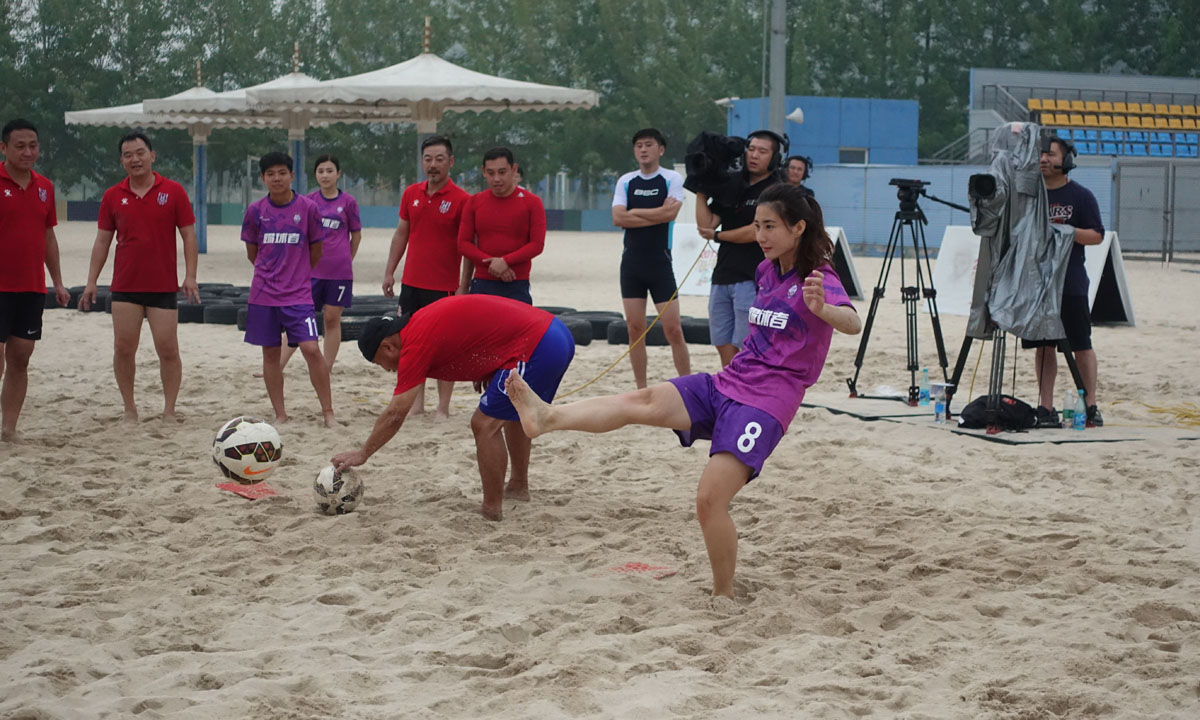 汪星人大战螃蟹,汪星人大战龙虾