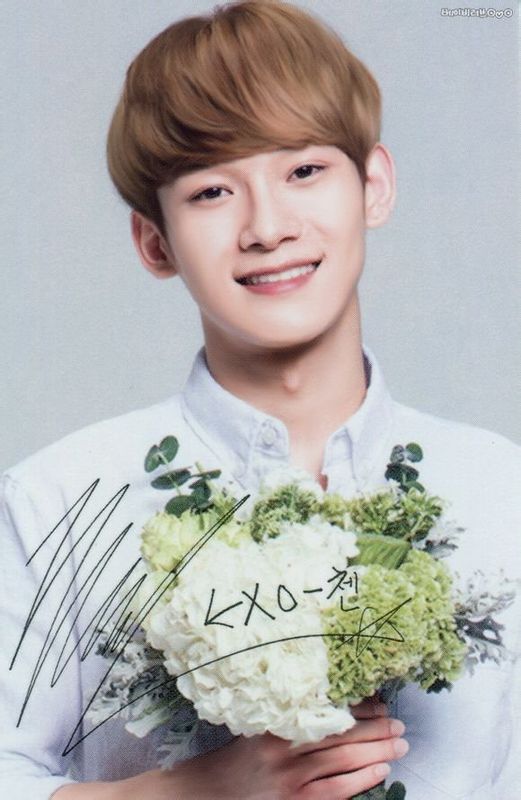 exo十二人嗨翻全场,exo十二人背后数字