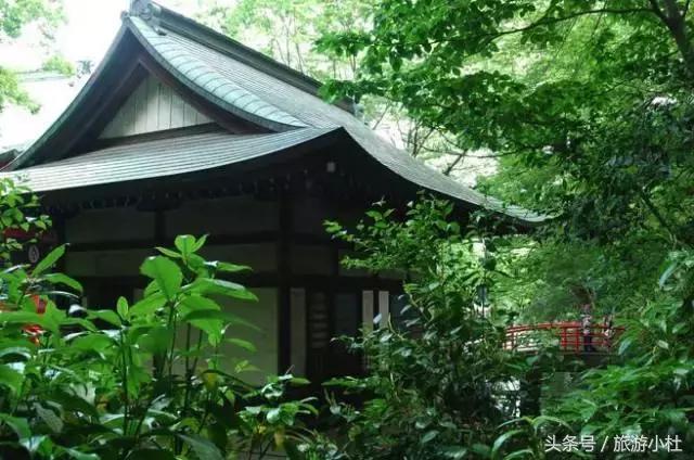 樱花美食街在哪里,东京樱花美食攻略