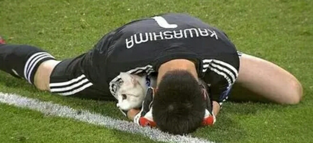 网友把足球p成猫之后，哈哈哈，第一张就笑疯