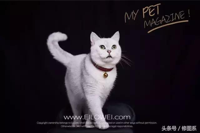 修图师会用哪些修图软件,修图师都用ps么