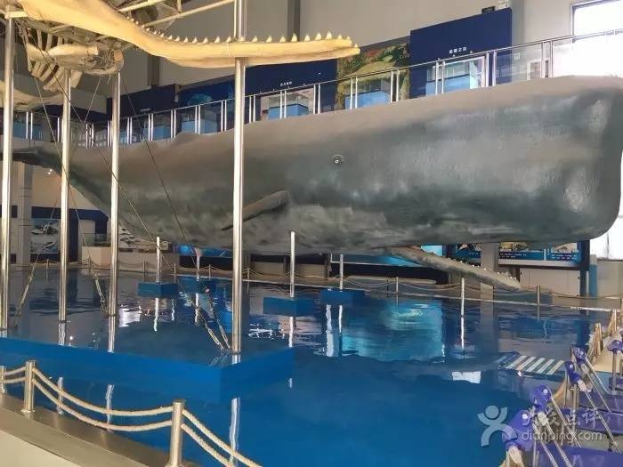 全国唯一的国家级大学博物馆,全国第一家高校博物馆