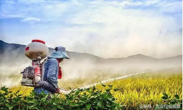 三农日报|村淘S2B2C模式是何物;温氏发布养殖行业5点判断