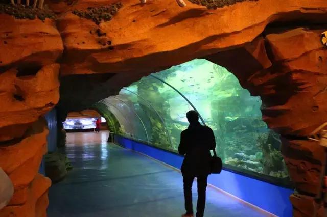 不要只顾着看沿途的风景,兰州哪个公园可以爬山