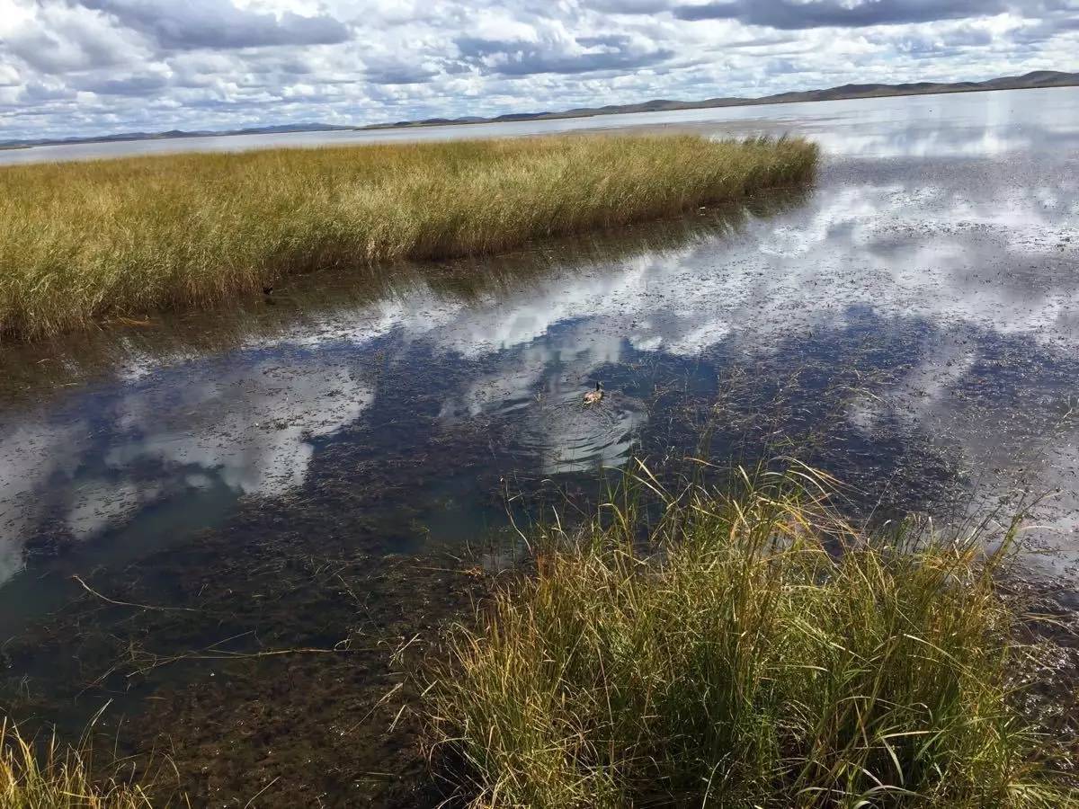 若尔盖湿地三月的景色,8月若尔盖草原哪里比较好