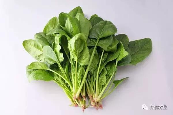 经常掉头发怎么治疗小妙招,经常掉头发最有效的方法