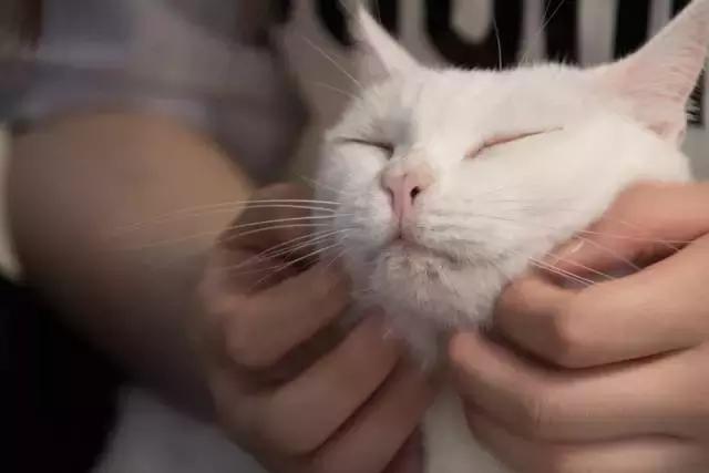 腾龙老款28-75f2.8评测,腾龙45mmf1.8vc评测