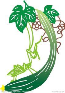 如何在家自制美白祛斑面膜,怎样自制面膜祛斑去皱纹