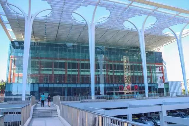 未来东海发展潜力,未来的东海岛怎样