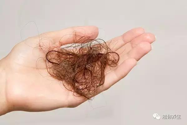 经常掉头发怎么治疗小妙招,经常掉头发最有效的方法