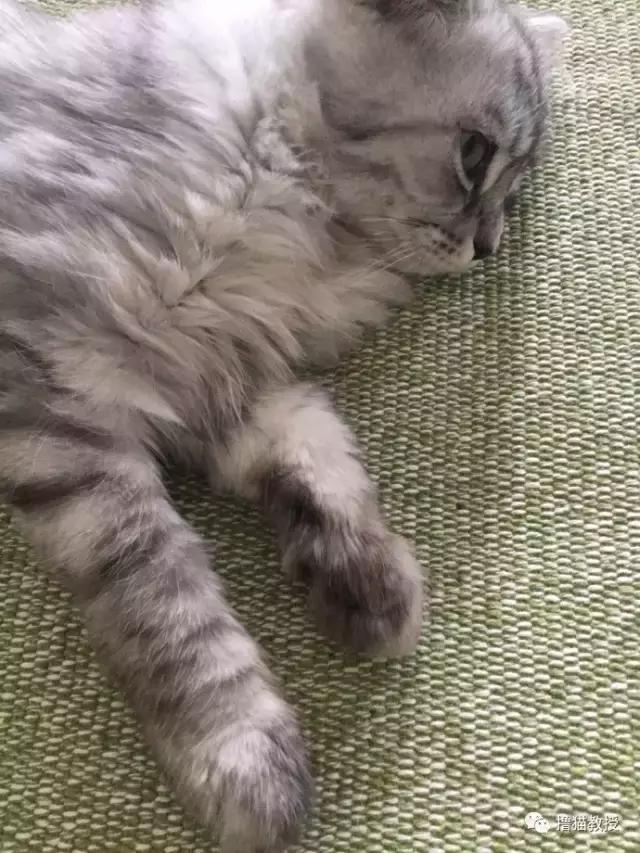 别跟我谈什么梦想我只想躺赢,别跟我谈什么梦想