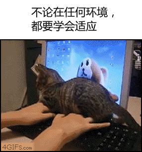 别跟我谈什么梦想我只想躺赢,别跟我谈什么梦想