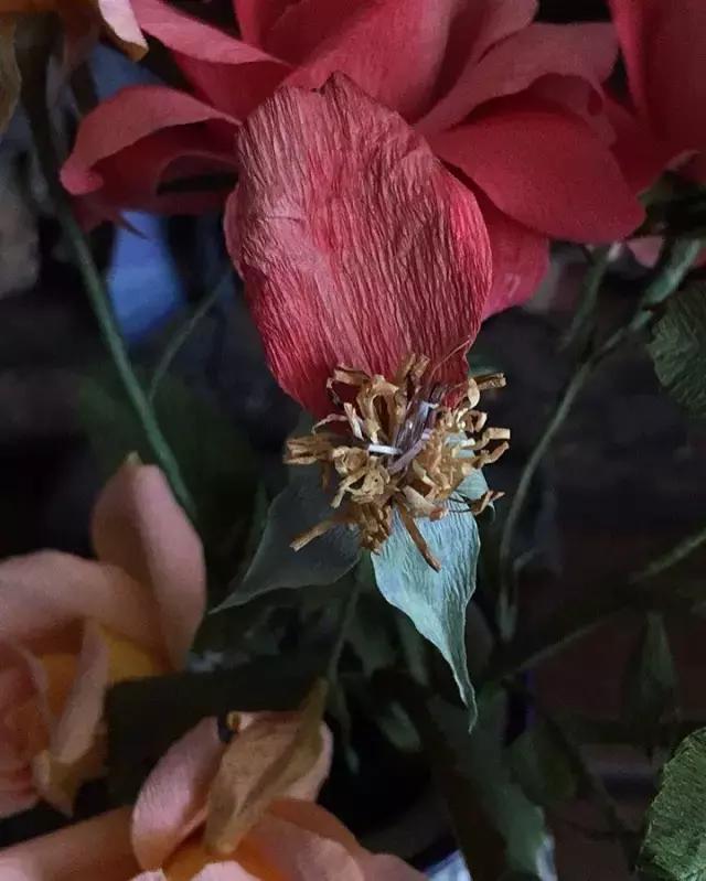 会枯萎腐烂的仿真花,会枯萎的花有什么