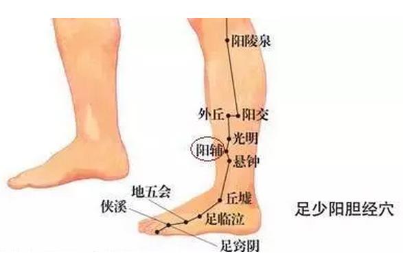 朗朗上口的穴位歌,常用穴位歌