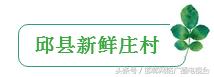 邯郸十大美丽乡村是哪,邯郸十大最美乡村