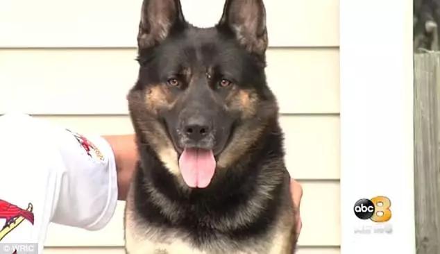 回家发现全家被杀后续,回家发现家里进了贼