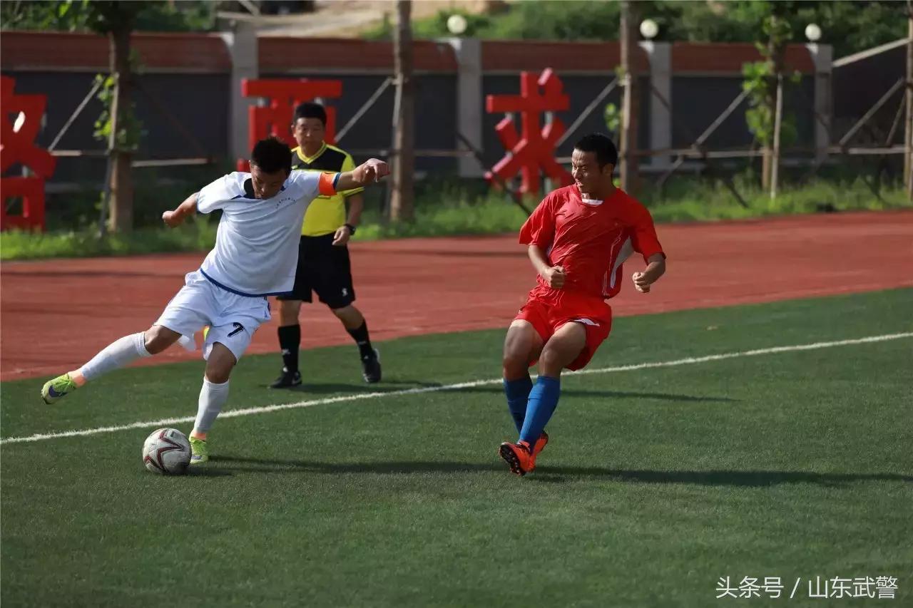 卫士动力减弱,卫士动力猛吗