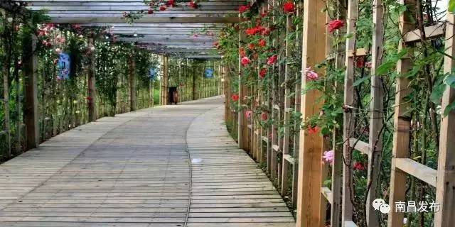 地铁四号线有新消息吗,上海地铁2号线哪站转4号线