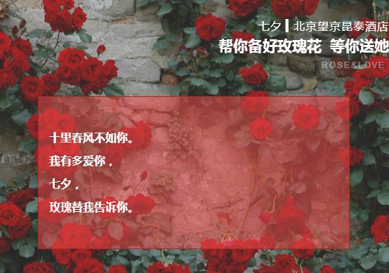 北京｜泰”爱你·玫瑰替我告诉你