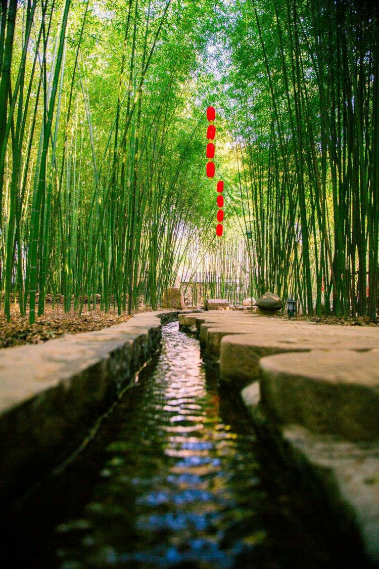 竹泉村景区,竹泉村咋样