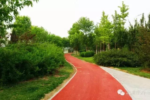 说走就走走遍全中国旅游,说走就走的旅行完整版