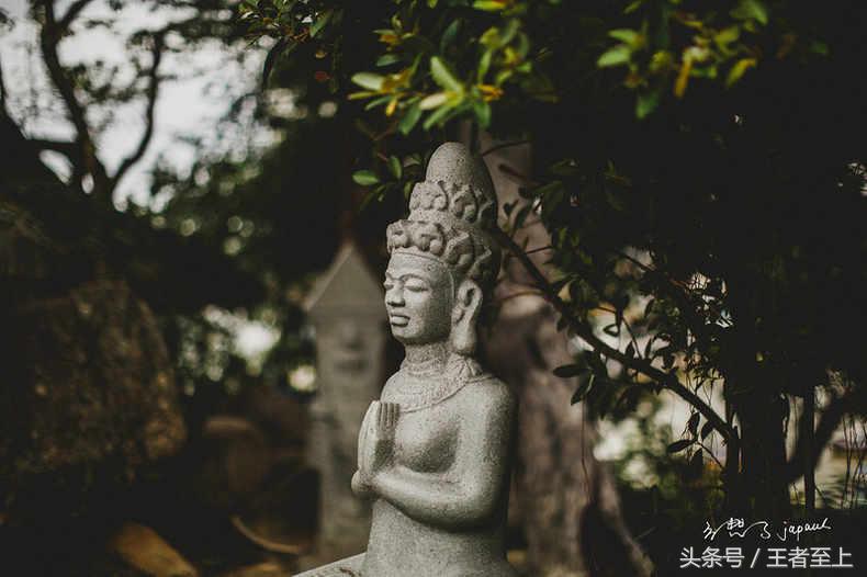 越南最美山庄,越南最美的桃源