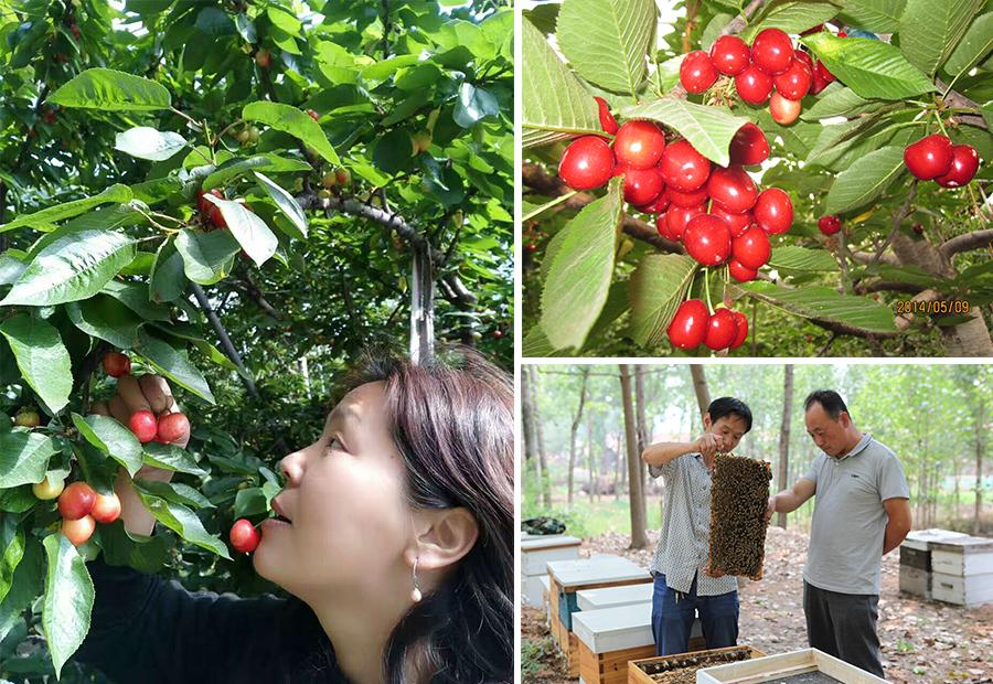 16年坚持用业余时间养蜂,有了好蜂蜜却没有好市场