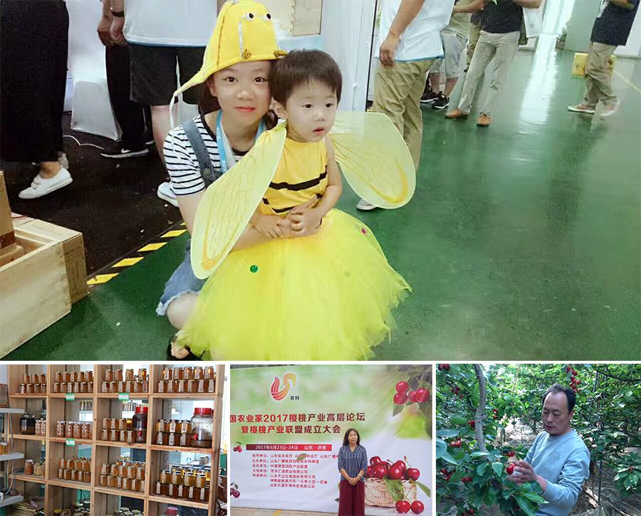 16年坚持用业余时间养蜂,有了好蜂蜜却没有好市场