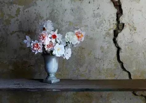 会枯萎腐烂的仿真花,会枯萎的花有什么