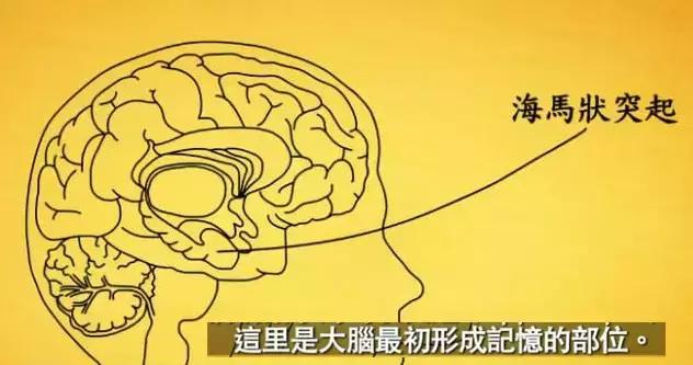 自媒体文章怎么写才有爆点,自媒体文章开头的方法和技巧